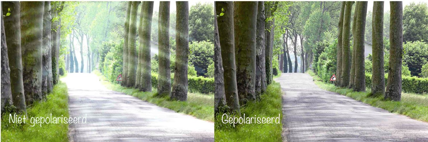 Gepolariseerd